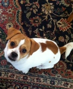 I'm interpreting this as Lucy's 